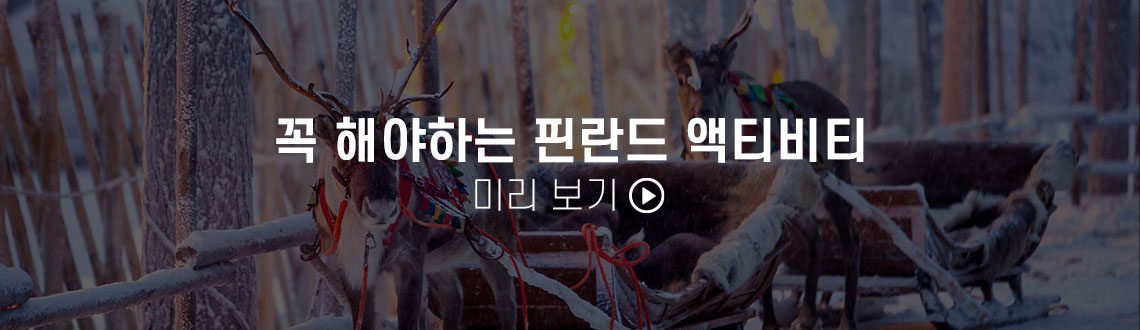 핀란드 액티비티 상품 보기