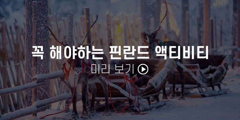 핀란드 액티비티 상품 보기